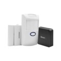 Sonoff RF Bridge 433 + PIR2 Ик Датчик + DW1 Датчики Открытия Двери/Окна