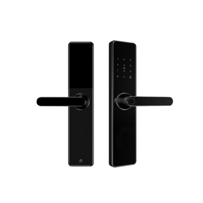 Wi-Fi electronic anti-theft fingerprint/password lock
