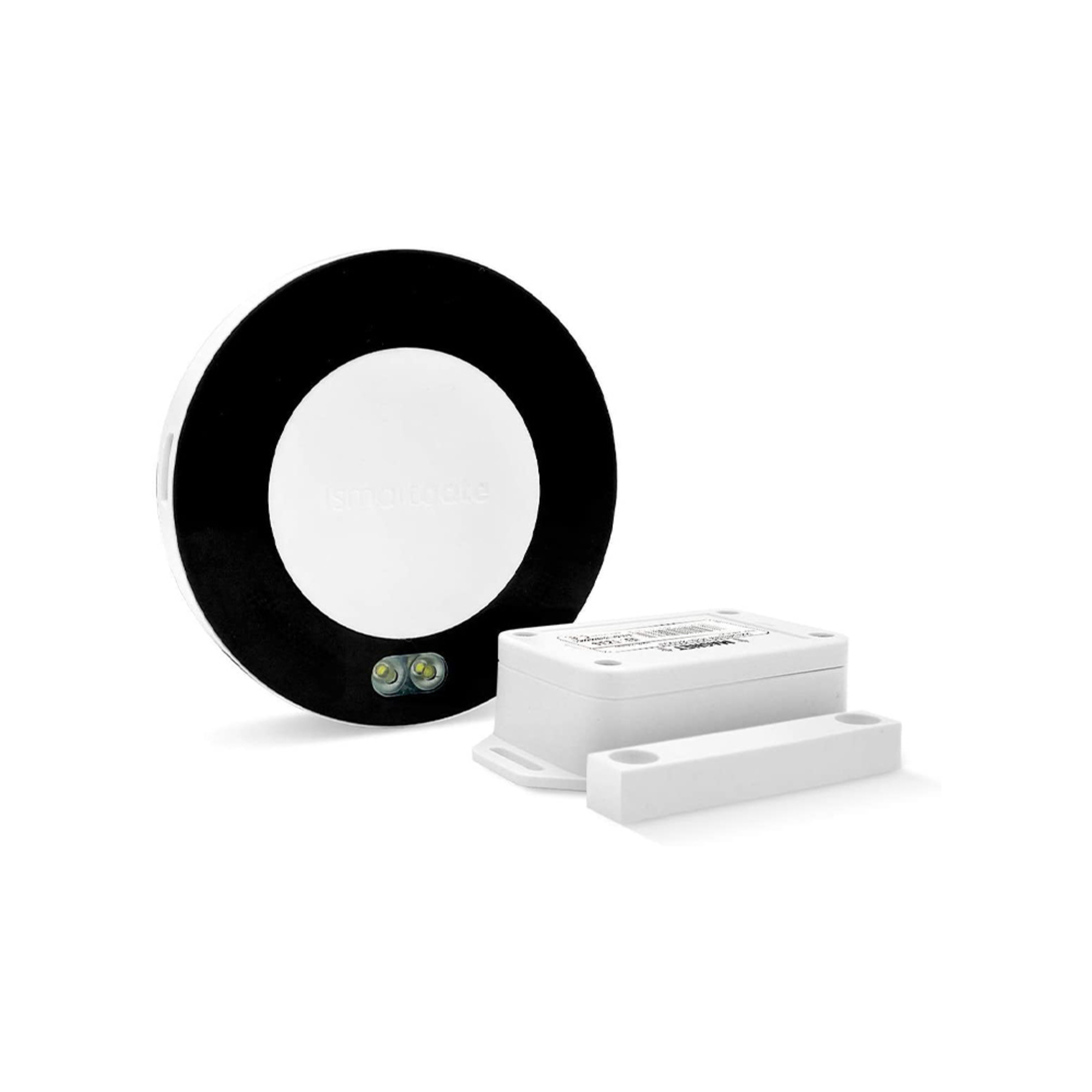 Gogogate2 google 2024 home