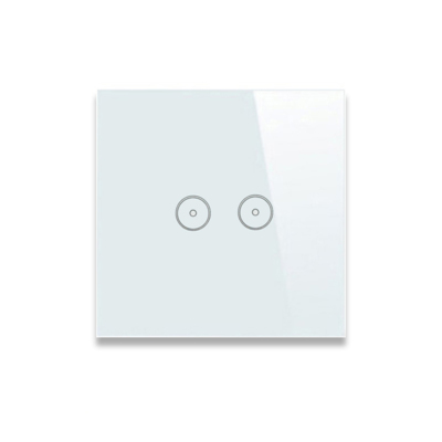 Wifi Wall Switch Two gangs