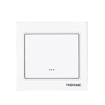 TKB Single Paddle Wall Switch