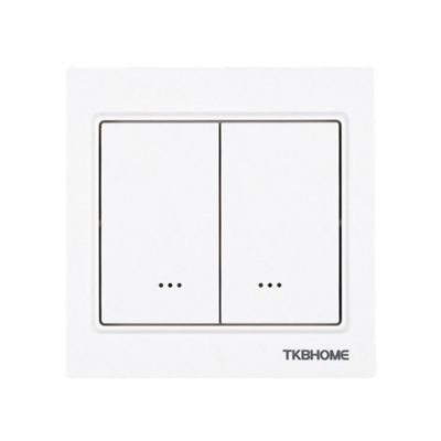 TKB Double Relay Wall Switch