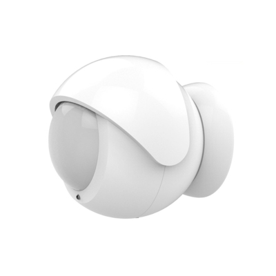 Motion Sensor