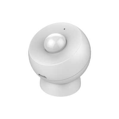 Motion Sensor