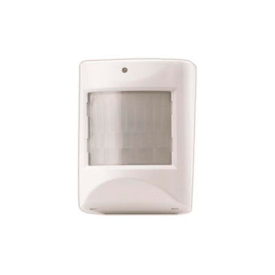 Vision Motion Detector