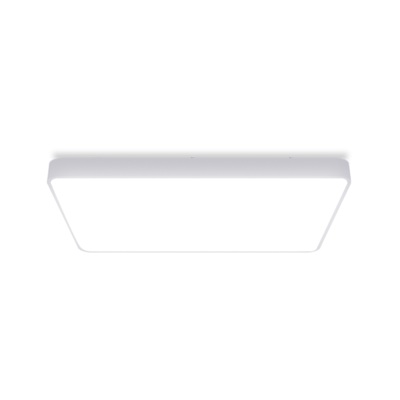 Crystal Ceiling Light Pro