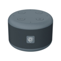 SmartVoice