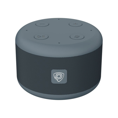 SmartVoice