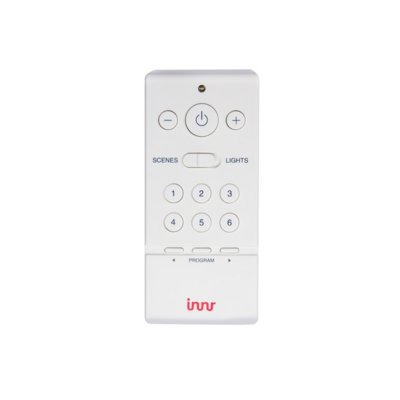 remote RC 110