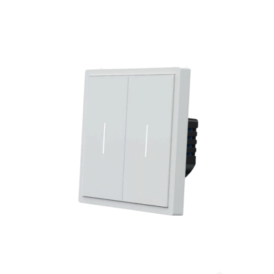 Выключатель Zigbee, 2ch