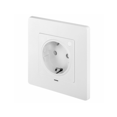 Розетка умная встраиваемая HOMMYN zigbee RKNWOZ01W