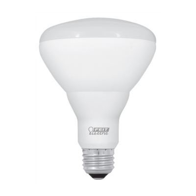 BR30 White