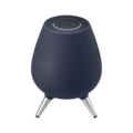 Galaxy Home