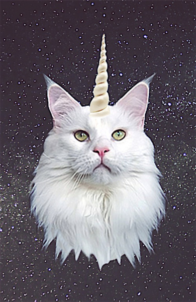 Смирнов Антон (NoneCat)