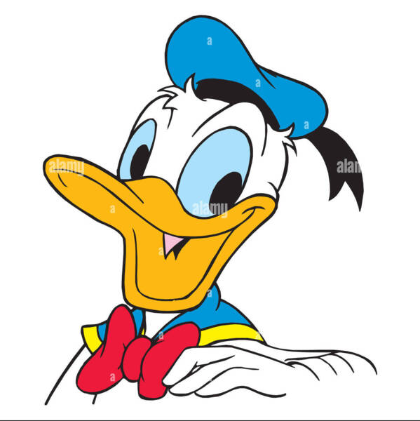 D0na1Duck (donalduck)